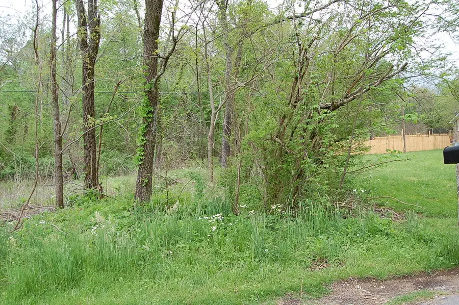 67 51st Avenue, Gruetli Laager, TN 37339 - #2