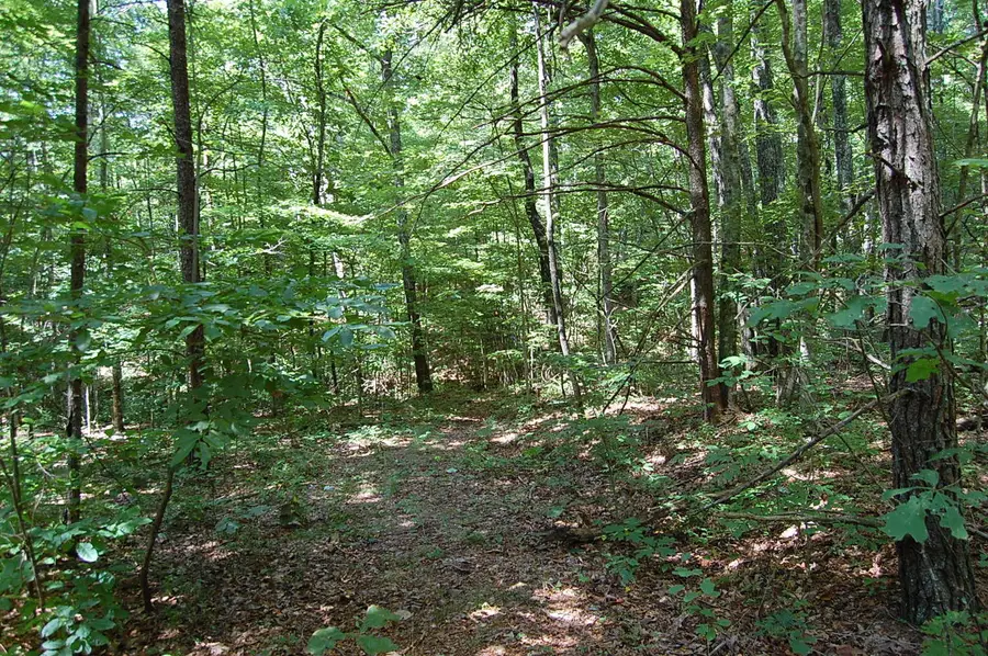 0 Elk Drive, Dunlap, TN 37327 - #2