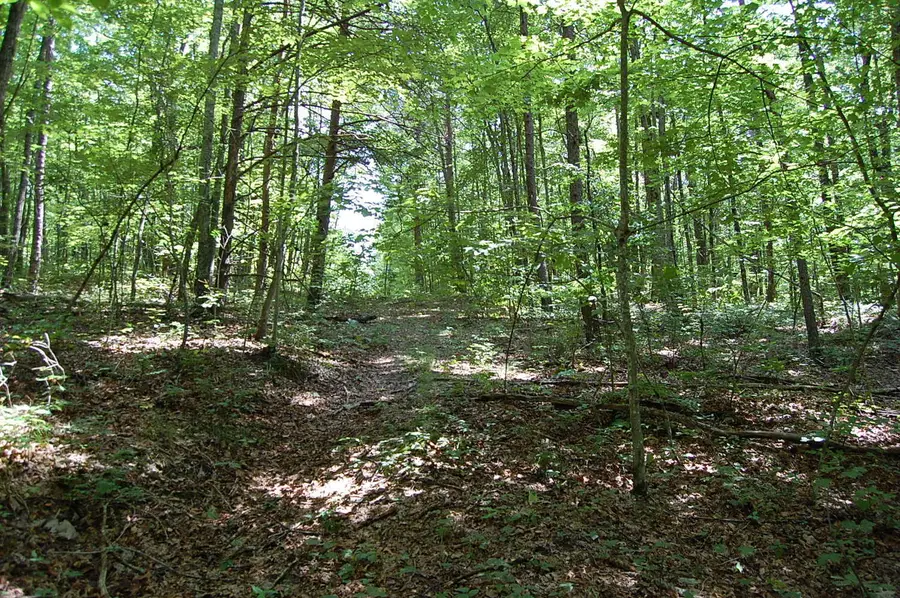 0 Elk Drive, Dunlap, TN 37327 - #3
