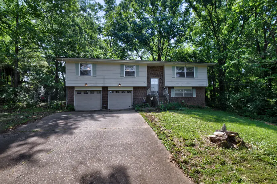 234 Tinker Bell Circle, Flintstone, GA 30725 - #2