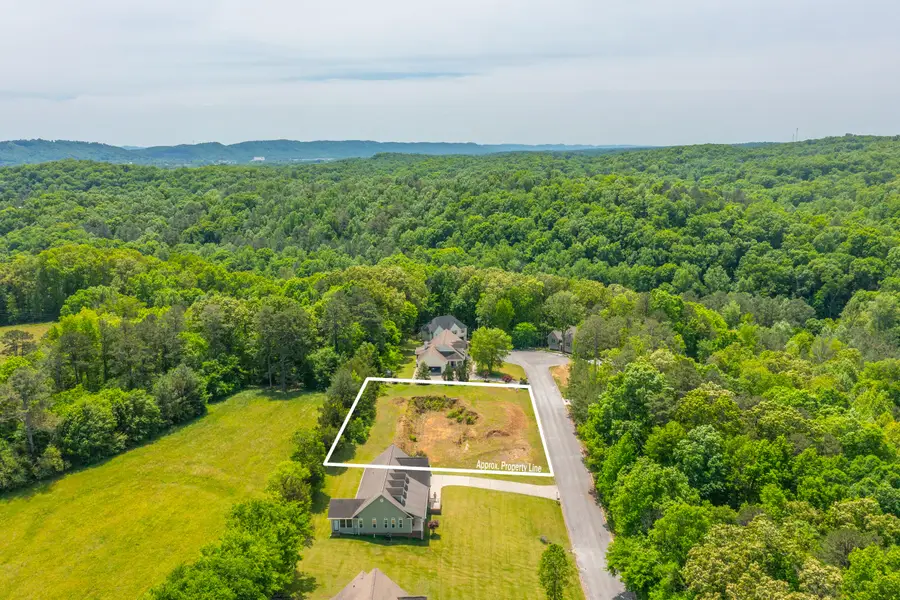 263 Falcons View Drive, Ringgold, GA 30736 - #2