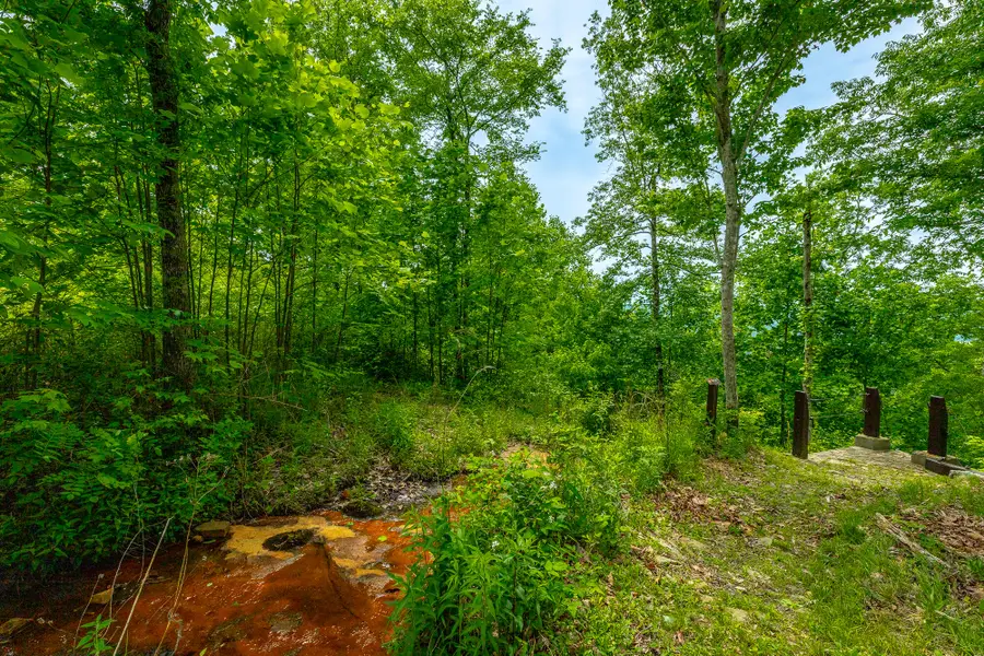 0 Sweedens Overlook #Lot 177, Jasper, TN 37347 - #2