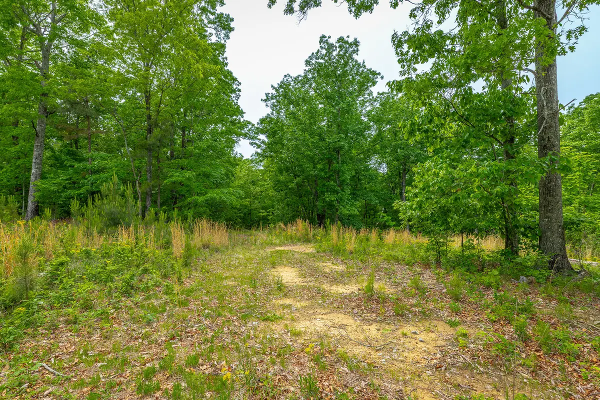 0 Moonlight Lane #Jf444, Jasper, TN 37347 - #1