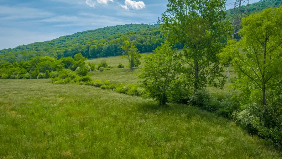 14344 County Road 91, Bryant, AL 35958 - #2