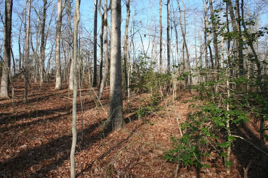 0 18th Avenue S #12, Gruetli Laager, TN 37339 - #2