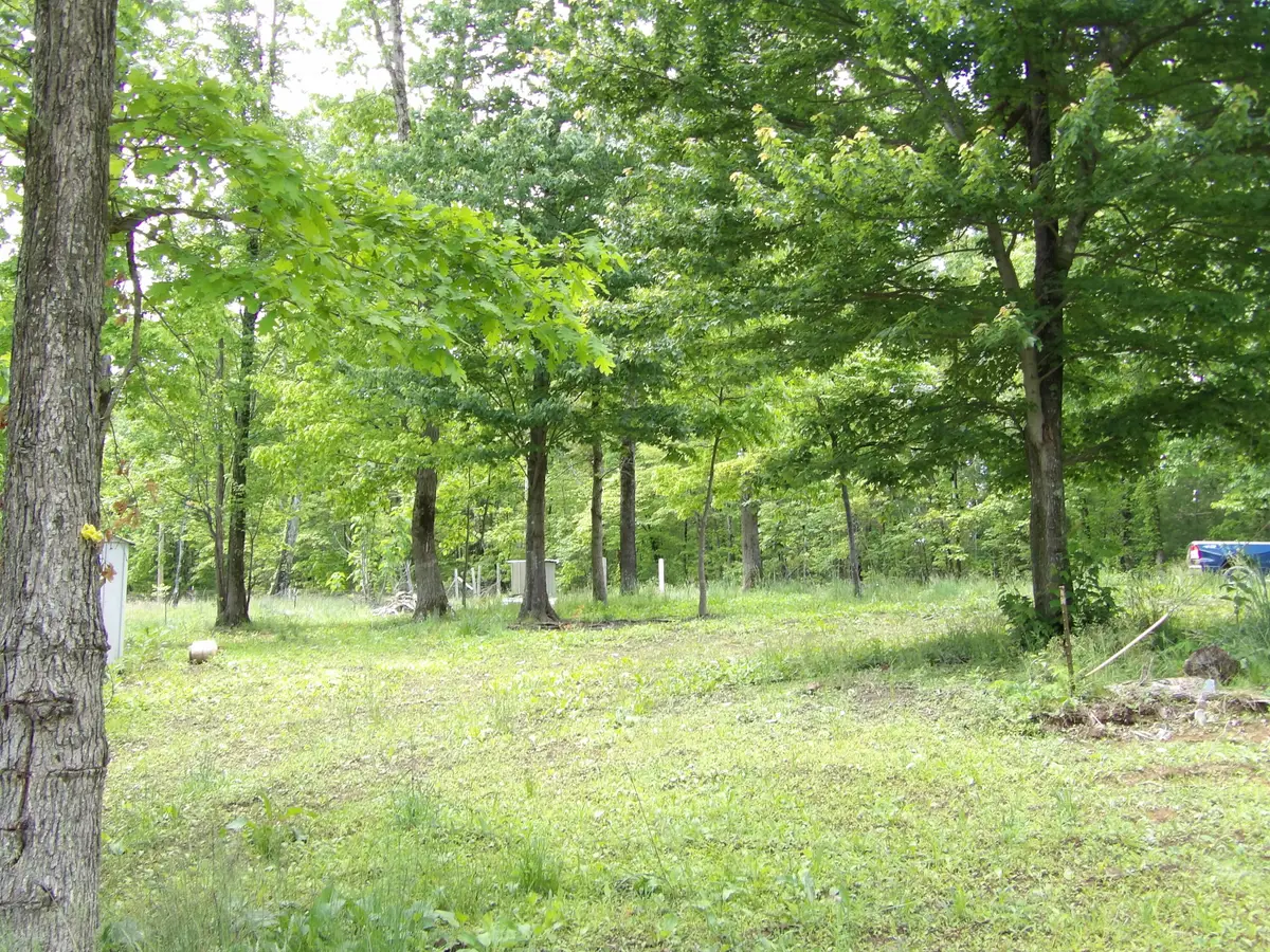 00 Kerley Road, Spring City, TN 37381 - #1