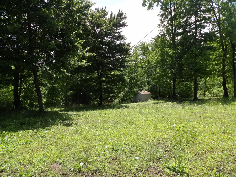00 Kerley Road, Spring City, TN 37381 - #3