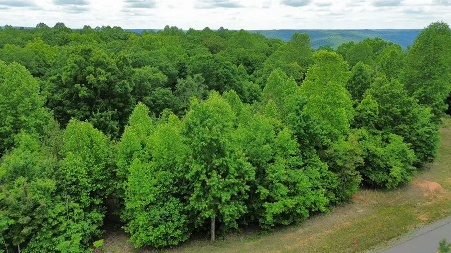 0 Whiskey Way, Jasper, TN 37347 - #3
