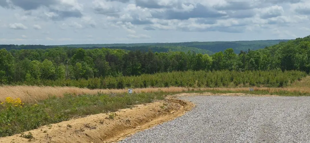 47 Pineview Road #47, Dunlap, TN 37327 - #1