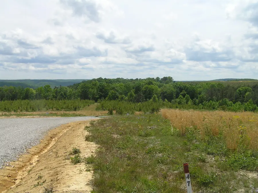 47 Pineview Road #47, Dunlap, TN 37327 - #3