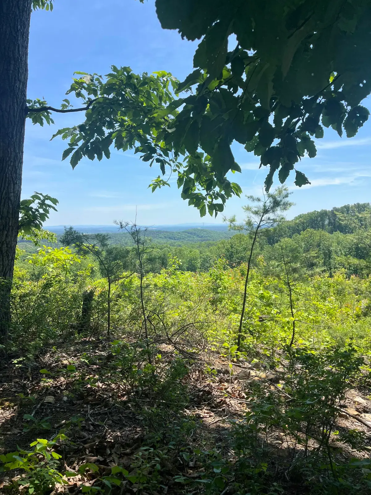 0 N Dug Gap Road, Dalton, GA 30720 - #1