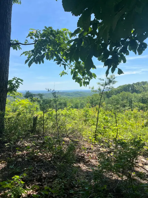 0 N Dug Gap Road, Dalton, GA 30720