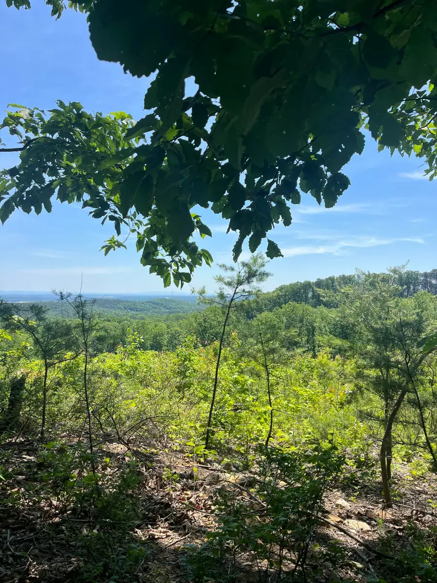 0 N Dug Gap Road, Dalton, GA 30720 - #2