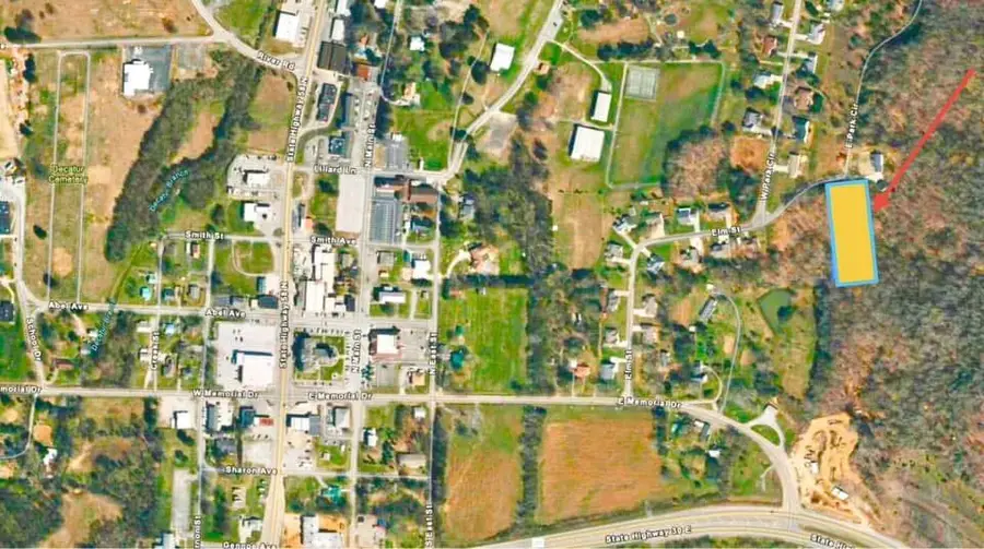 194 Elm Street, Decatur, TN 37322 - #3