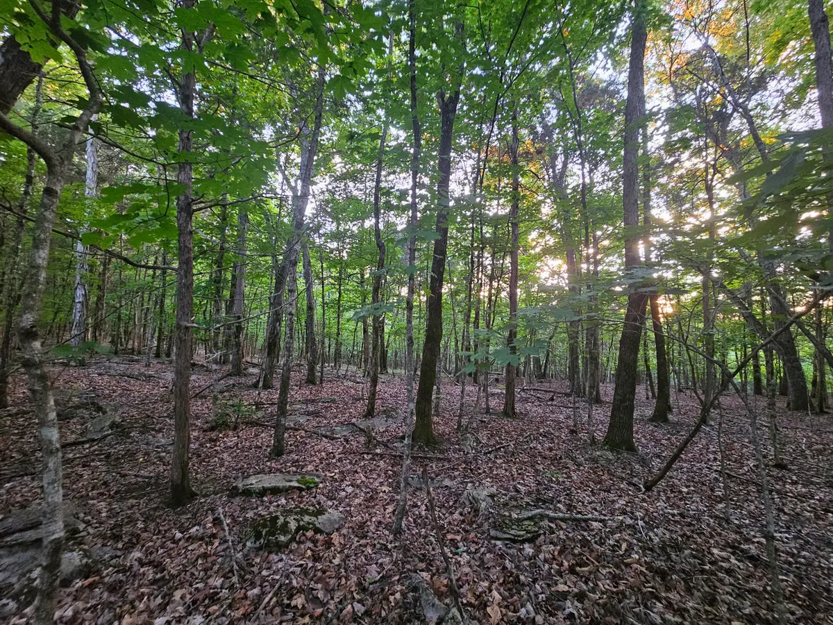 3 Sewanee Summit Road #2 And 3, Decherd, TN 37324 - #1