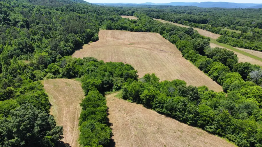 247 Hwy 156, South Pittsburg, TN 37380 - #2