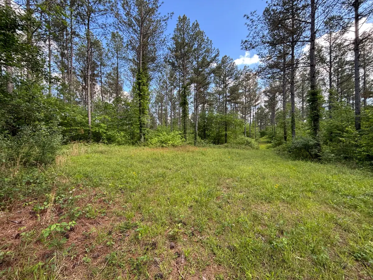 82 Bennie Camp Road, Dunlap, TN 37327 - #1