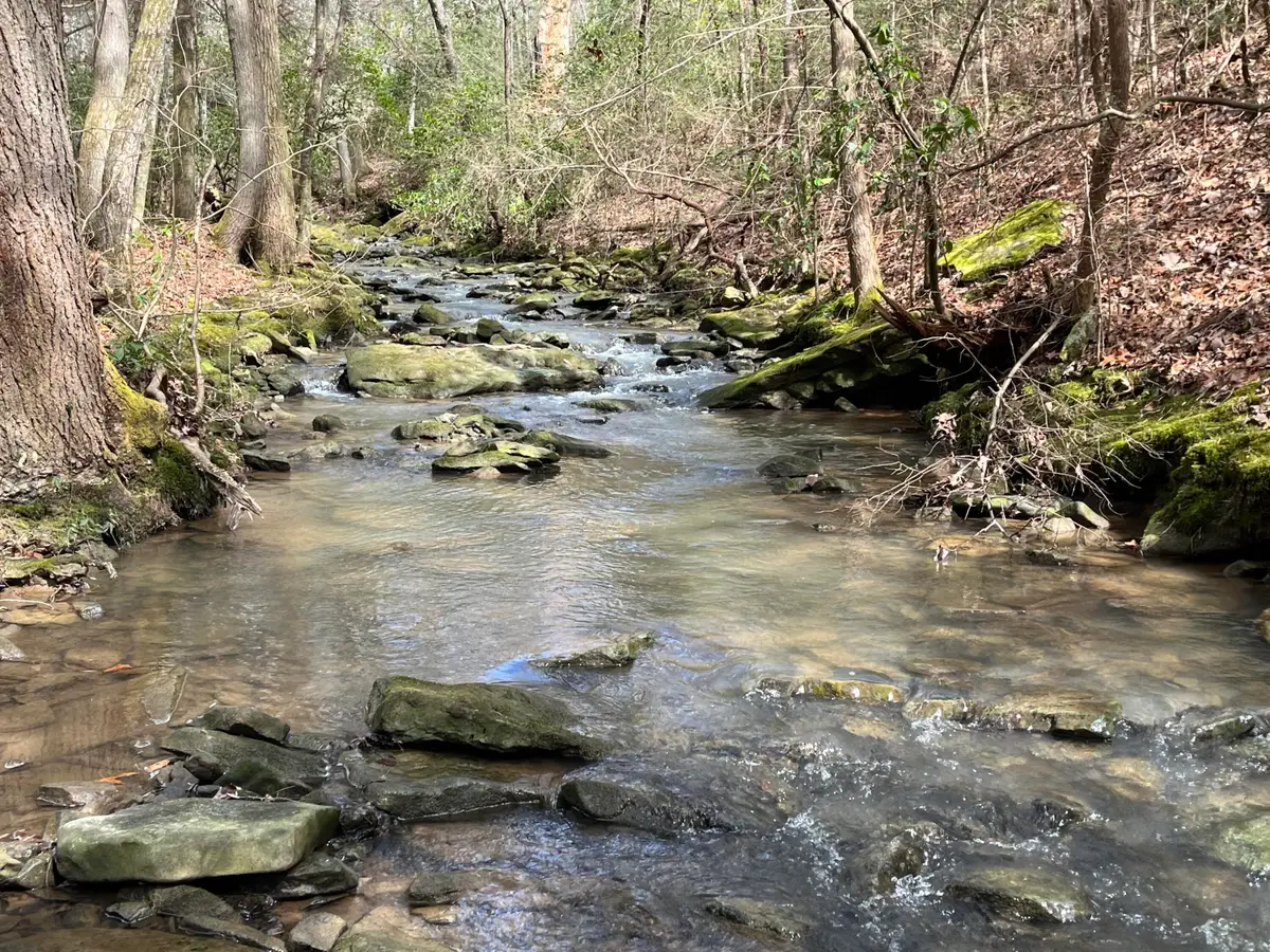 126 Kelly Creek Road, Whitwell, TN 37397 - #1