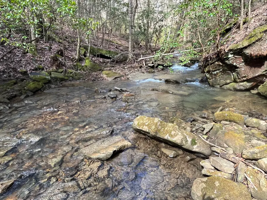 126 Kelly Creek Road, Whitwell, TN 37397 - #2