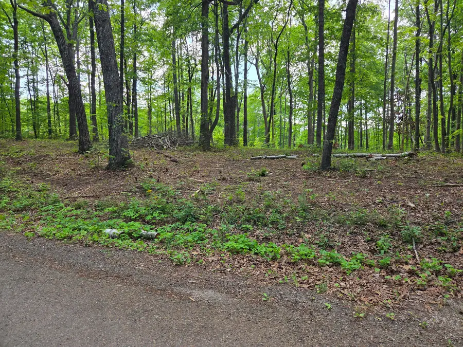 000 Ski View Drive, Dunlap, TN 37327 - #2