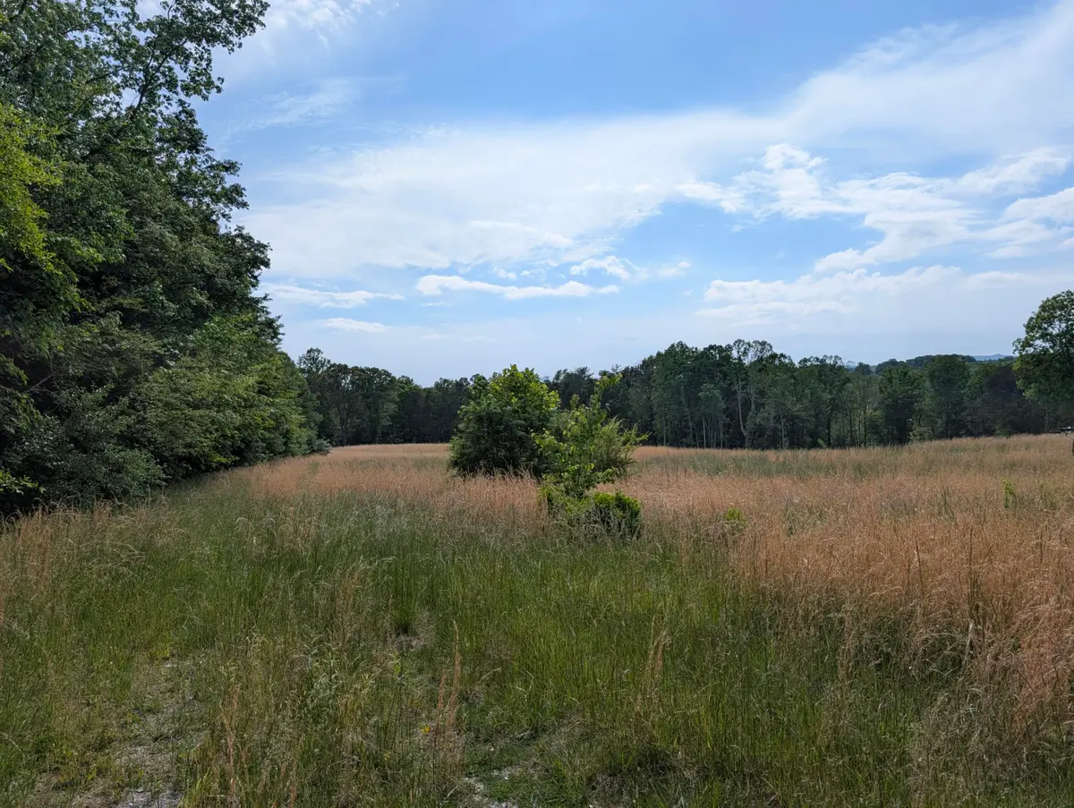 1615 Burdette Road, Grandview, TN 37337 - #1