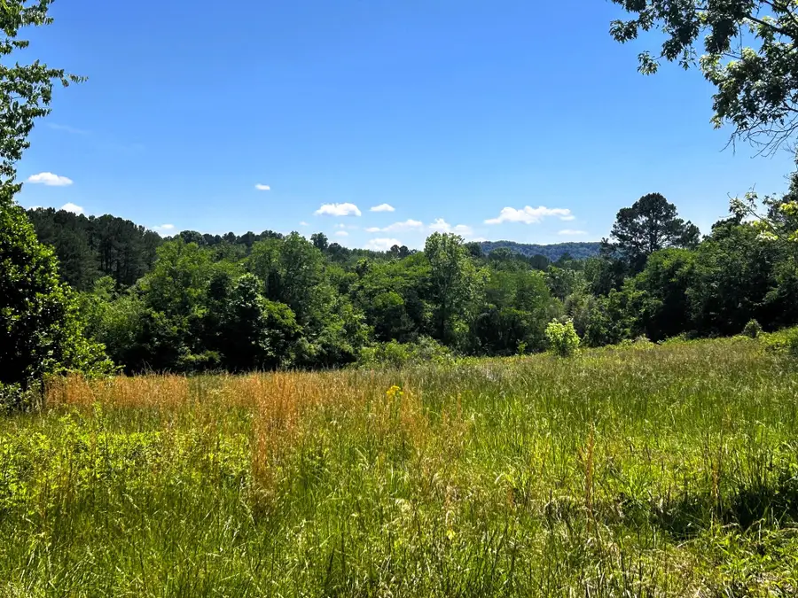 573 S Judd Road, Decatur, TN 37322 - #3