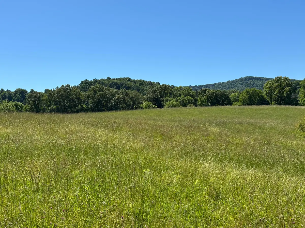 11 Graham Home Place Road, South Pittsburg, TN 37380 - #1