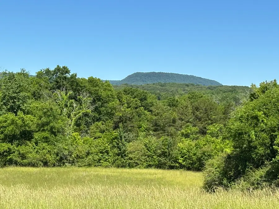 11 Graham Home Place Road, South Pittsburg, TN 37380 - #2