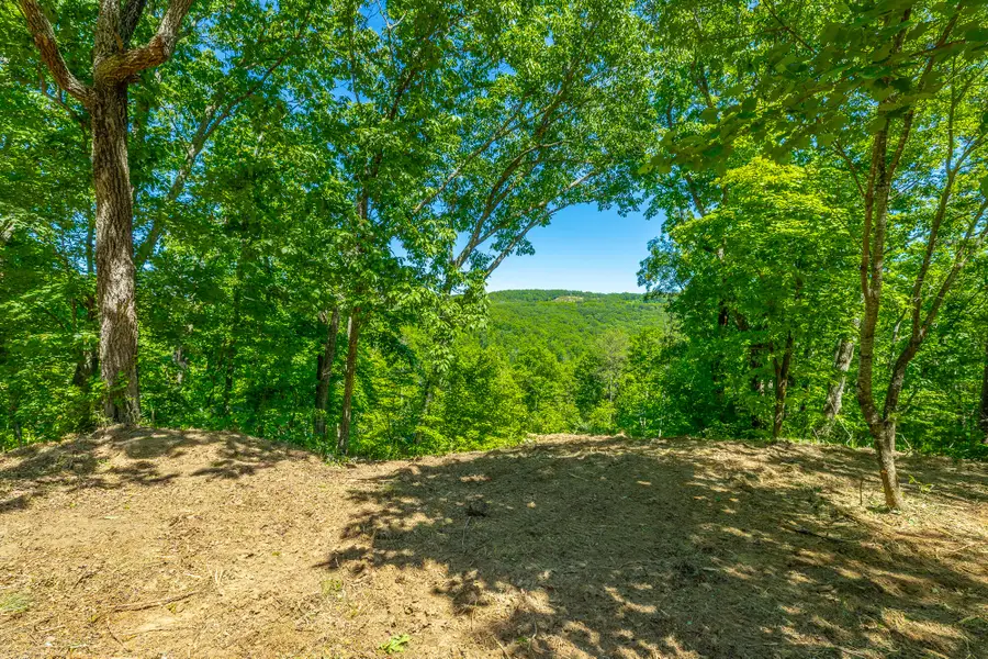 0 Split Rail Way #1349, Guild, TN 37340 - #2