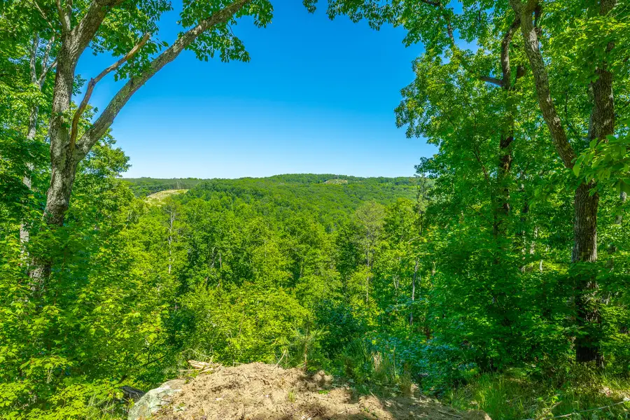 0 Split Rail Way #1349, Guild, TN 37340 - #3