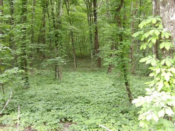 0 Ridge Road W, Pikeville, TN 37367