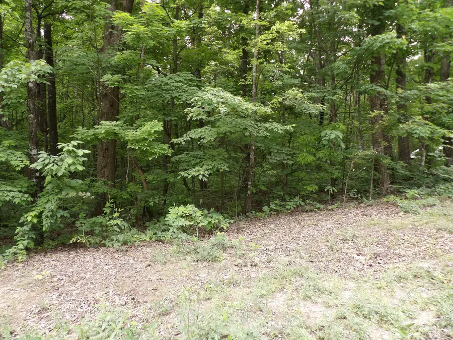 0 Ridge Road W, Pikeville, TN 37367 - #3
