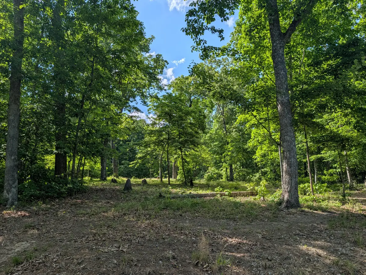 Lot 94/95 Red Oak Lane, Spring City, TN 37381 - #1