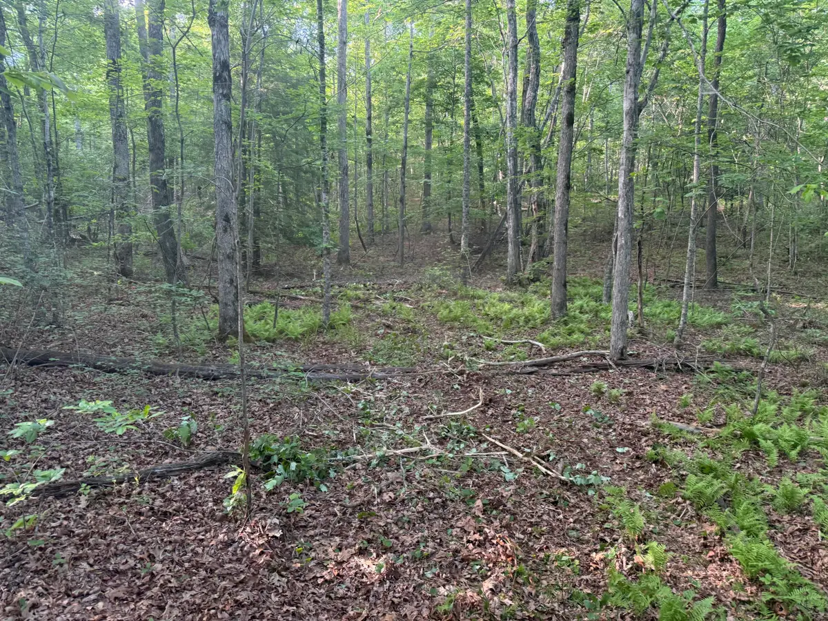 1672 Besstown Road, Beersheba Springs, TN 37305 - #1