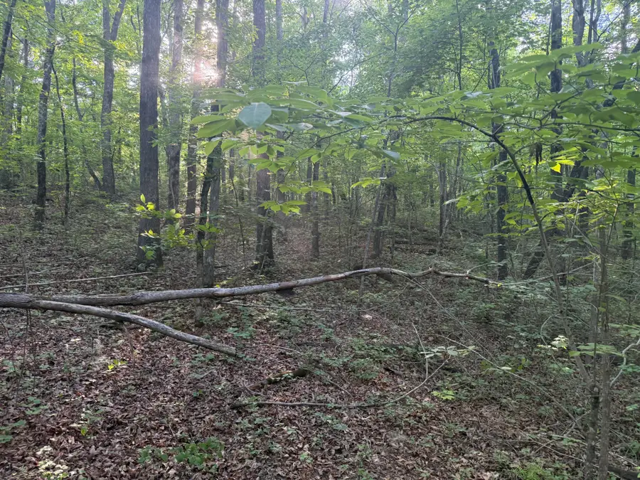 1672 Besstown Road, Beersheba Springs, TN 37305 - #2