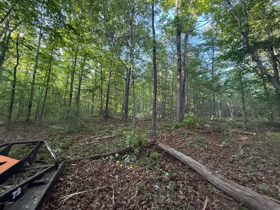 1672 Besstown Road, Beersheba Springs, TN 37305 - #3