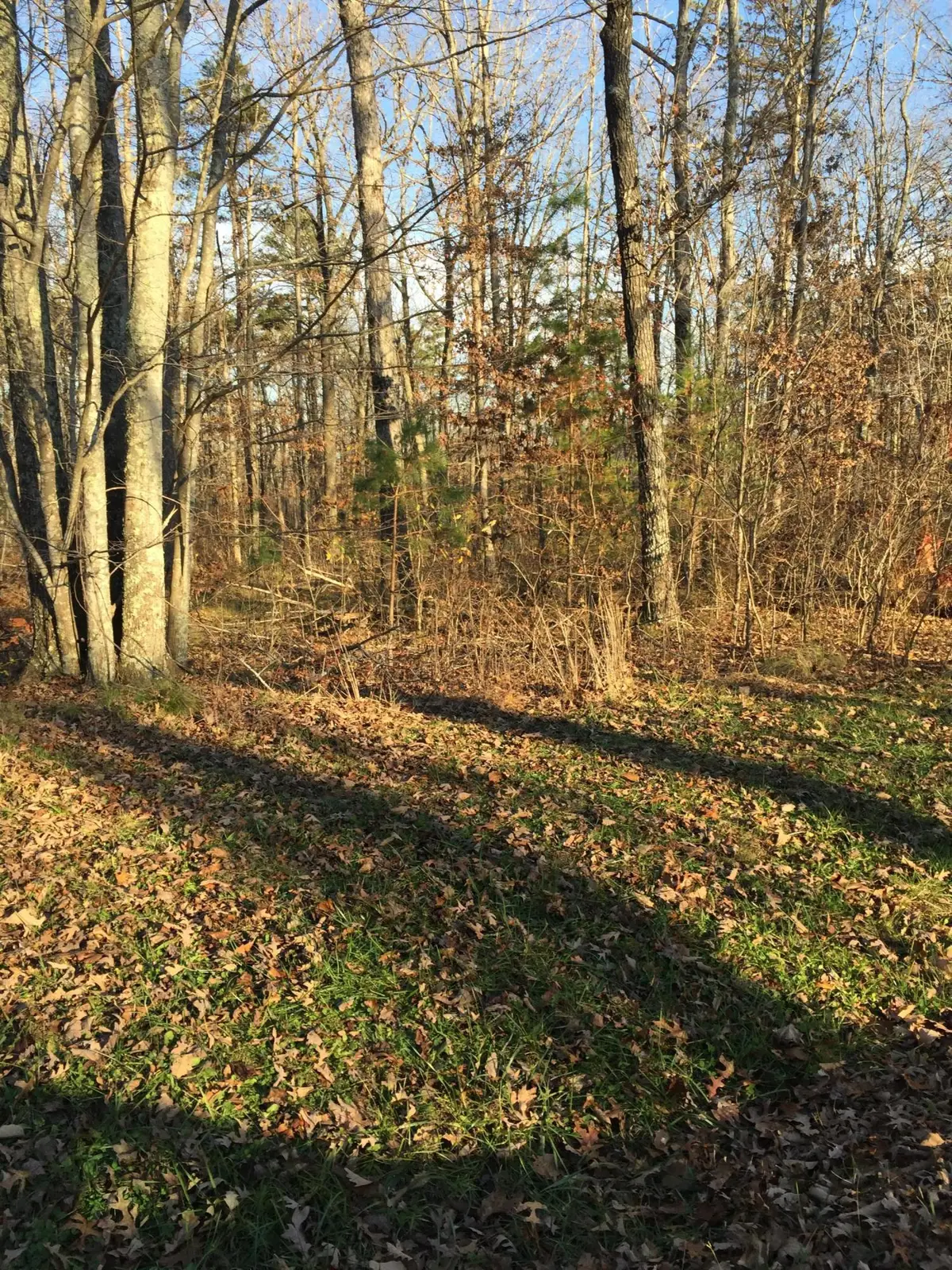 0 Clear Brooks Drive #38, Signal Mountain, TN 37377 - #1