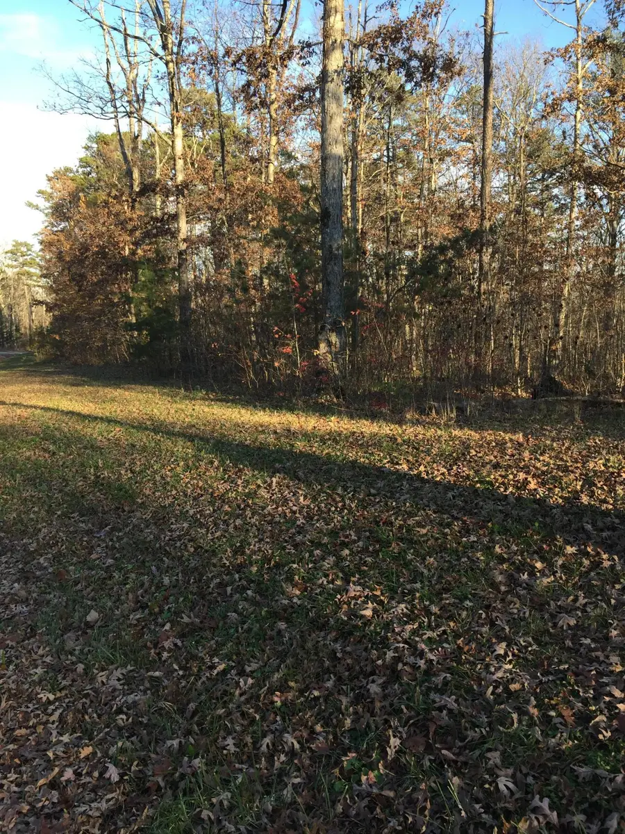0 Clear Brooks Drive #38, Signal Mountain, TN 37377 - #2