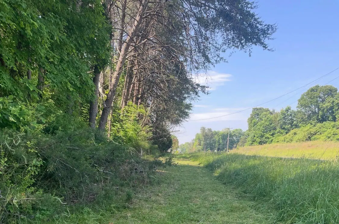 11128 Highway 58, Georgetown, TN 37336 - #1