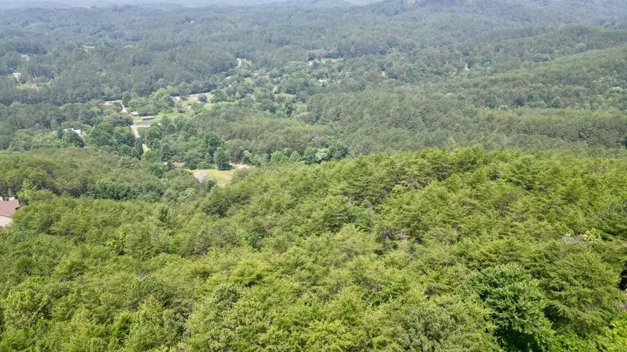 0 Little Mountain Road, Copperhill, TN 37317 - #3