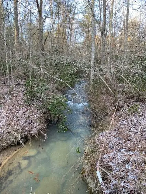 142 Cole Road, Deer Lodge, TN 37726 - #2