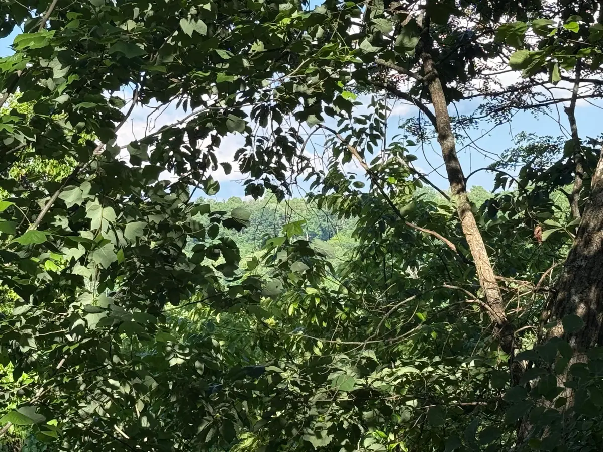 214 Middle Ridge Road, Beersheba Springs, TN 37305 - #1