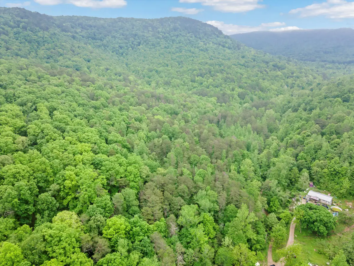 0 Egypt Hollow Road, Trenton, GA 30752 - #1