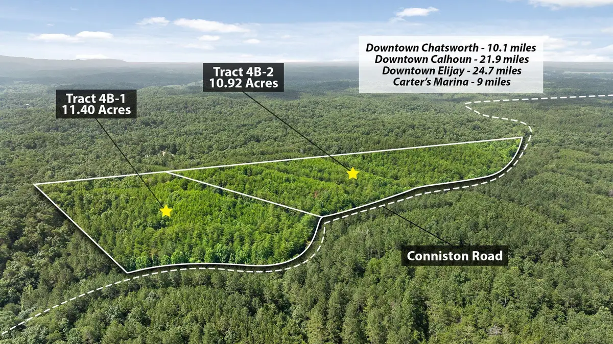 Tr 4 B-2 Conniston Road, Chatsworth, GA 30705 - #1