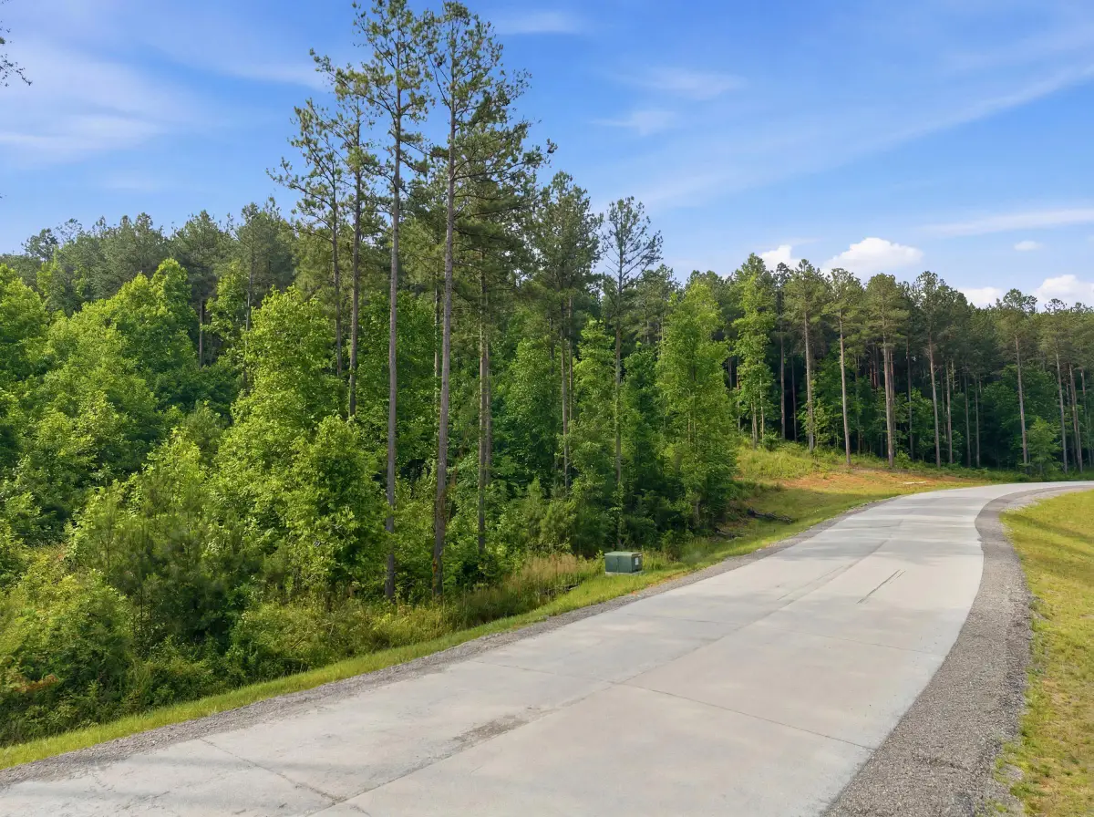 0 Birds Eye Way #1099, Guild, TN 37340 - #1