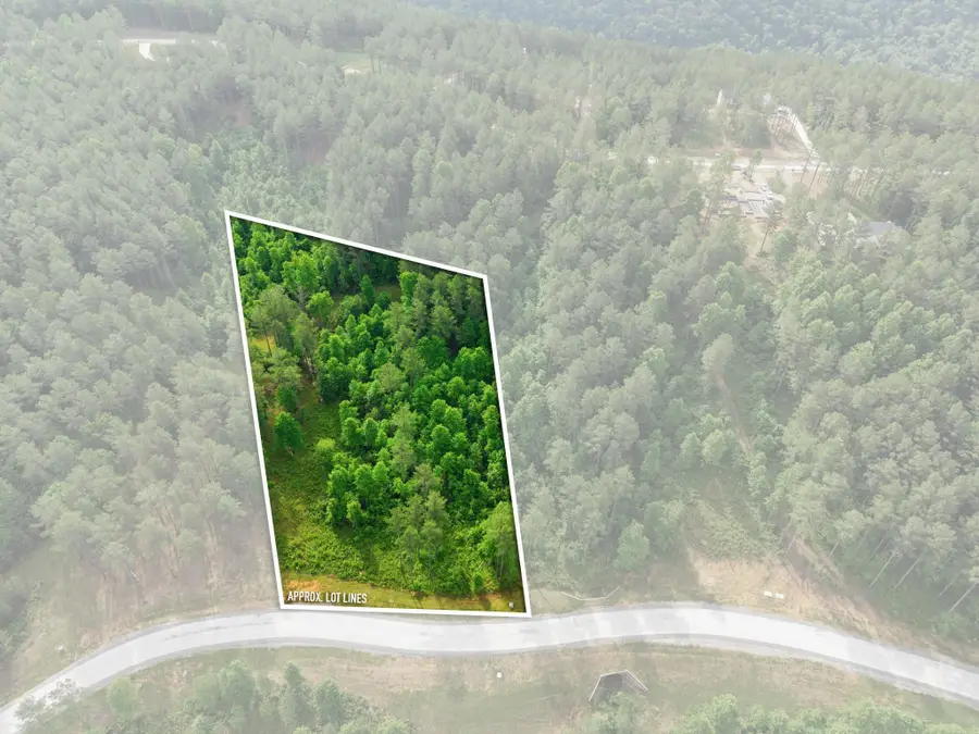0 Birds Eye Way #1099, Guild, TN 37340 - #2