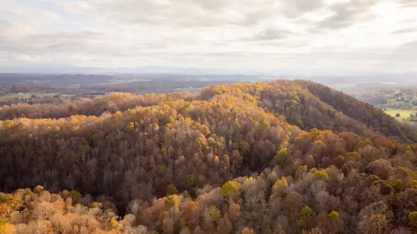 544 Ethel Beard Road, Blountville, TN 37617