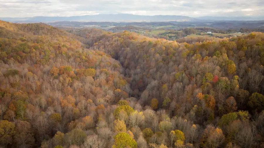 544 Ethel Beard Road, Blountville, TN 37617 - #2
