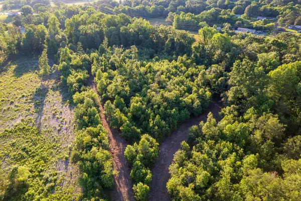 00 Hwy 301 #Lot 3, Trenton, GA 30752
