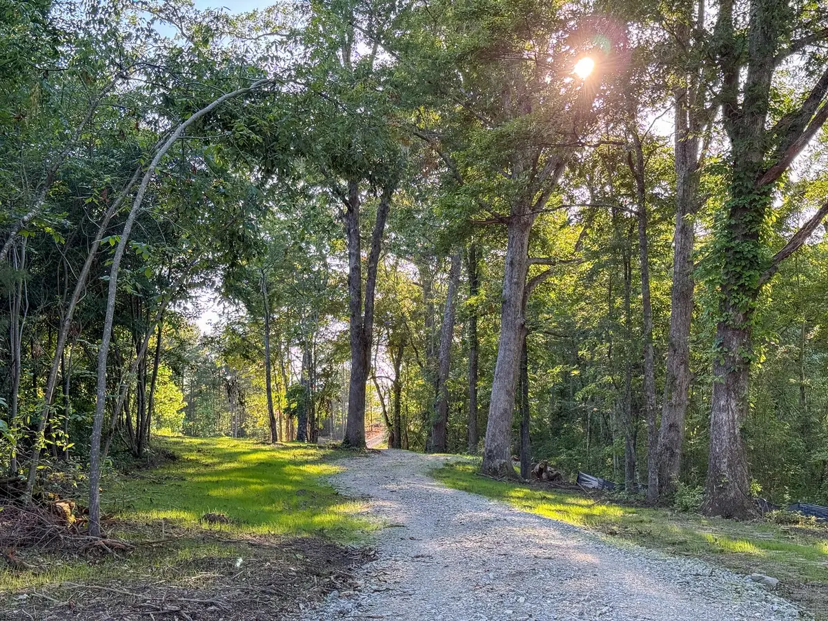 00 Hwy 301 #Lot 3 & 4, Trenton, GA 30752 - #1